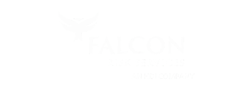 Falcon HDI (2)