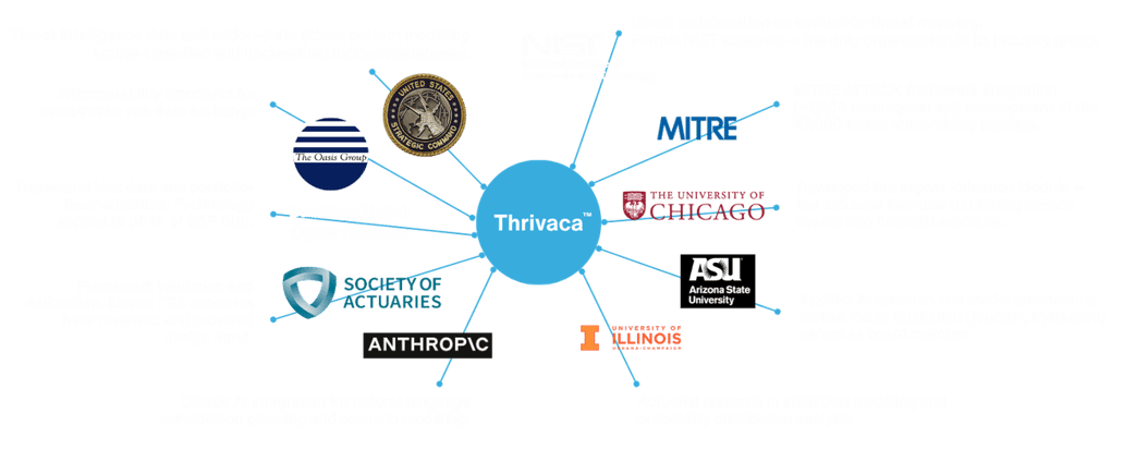 How Thrivaca Was Built (2)